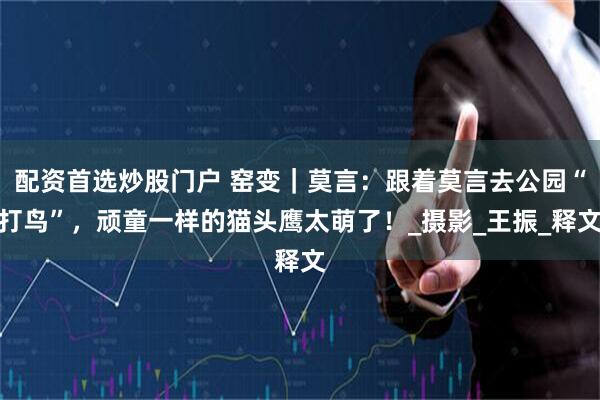 配资首选炒股门户 窑变｜莫言：跟着莫言去公园“打鸟”，顽童一样的猫头鹰太萌了！_摄影_王振_释文