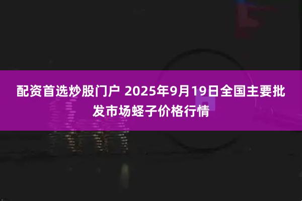 配资首选炒股门户 2025年9月19日全国主要批发市场蛏子价格行情